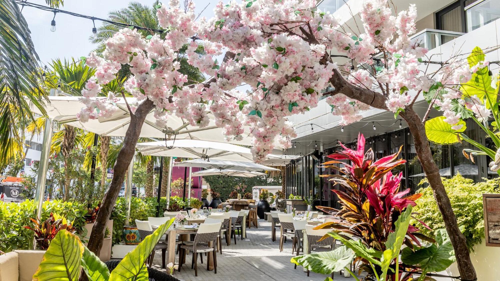 Kimpton Angler'S Hotel South Beach By Ihg Miami Beach Ngoại thất bức ảnh